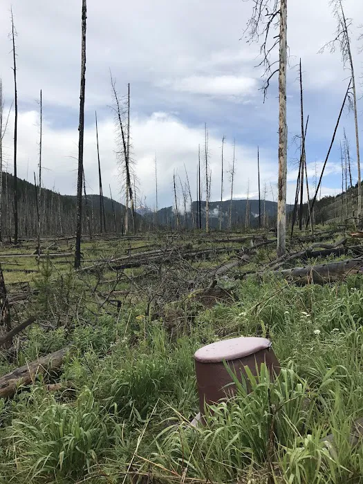 Specimen Creek Junction Picture 1