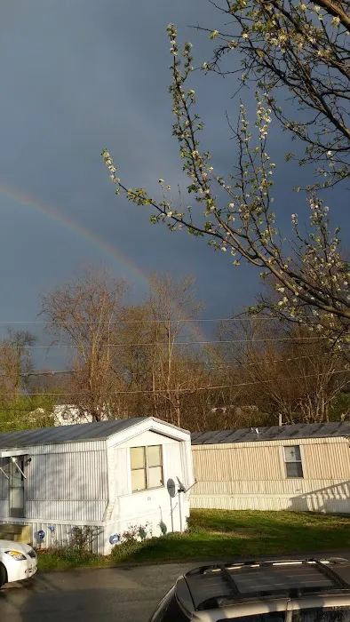 Trailer Park Picture 2