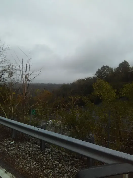 D & D Transport Picture 4