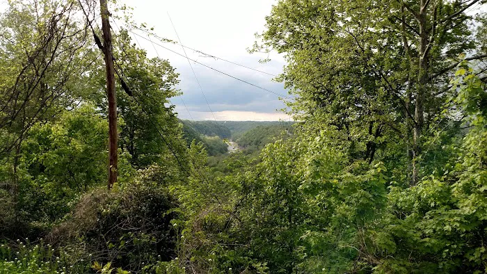 D & D Transport Picture 7