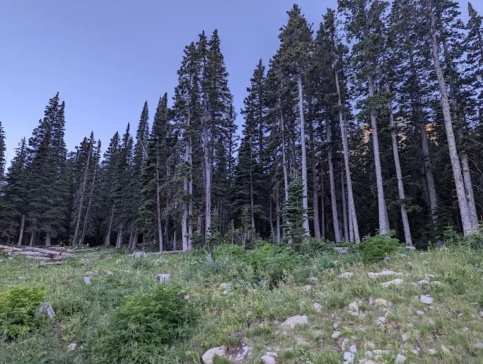 Fairy Lake Campground Picture 6