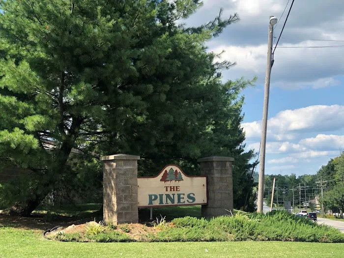 The Pines Picture 6