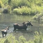 Phi Kappa Campground