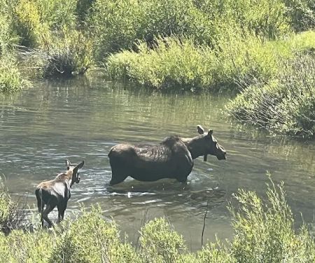 Phi Kappa Campground