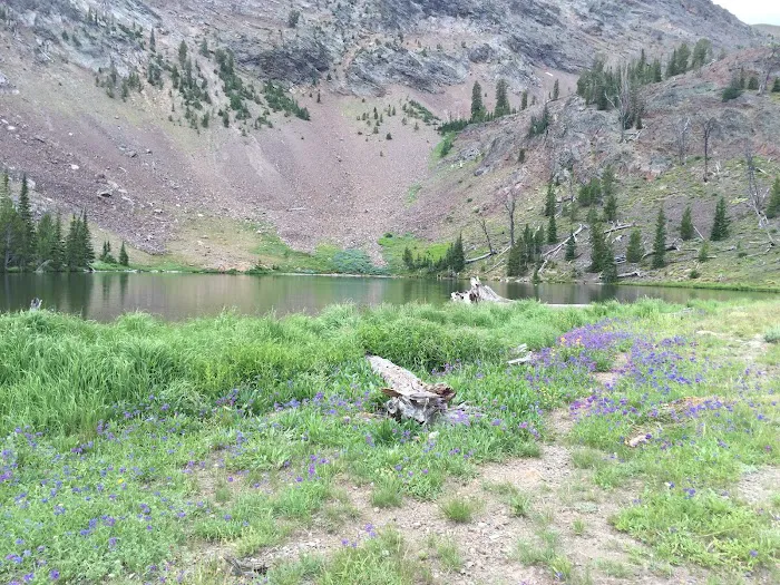 Phi Kappa Campground Picture 6