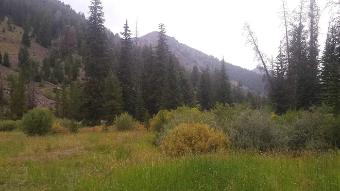 Park Creek Campground Picture 4