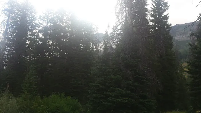 Park Creek Campground Picture 6