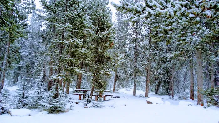 Park Creek Campground Picture 7