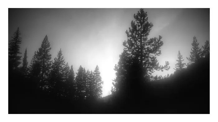 Park Creek Campground Picture 10