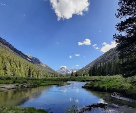 Wildhorse Campground