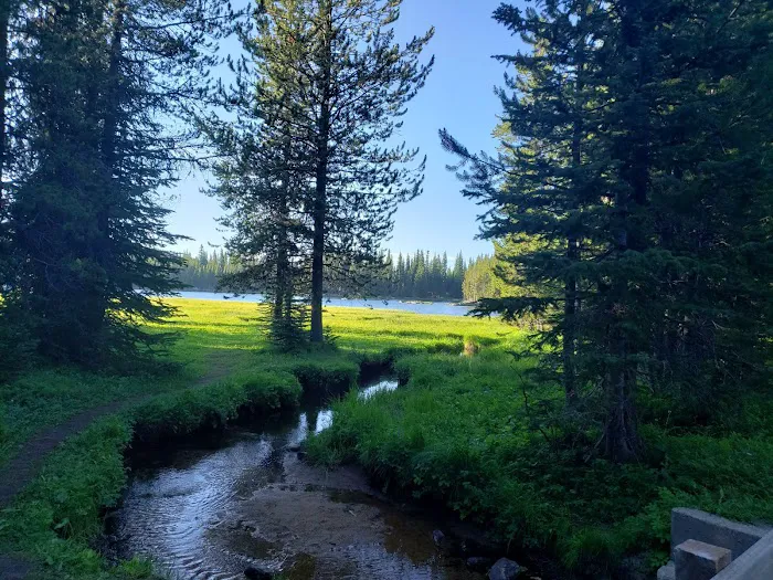 Anthony Lake Campground Picture 6