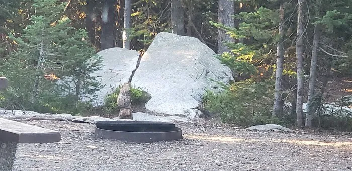 Anthony Lake Campground Picture 9