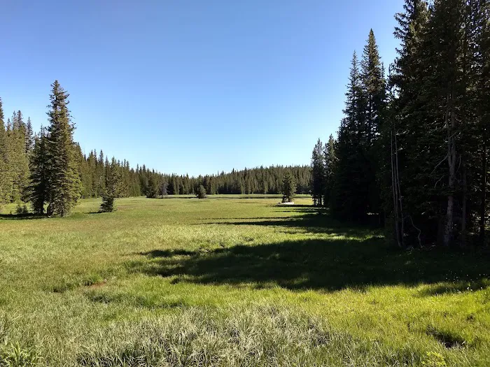 Mud Lake Campground Picture 3