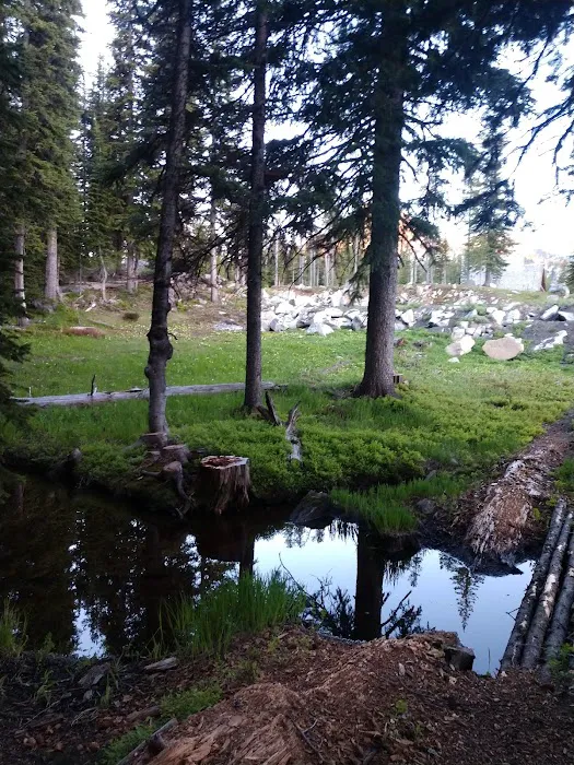 Mud Lake Campground Picture 6