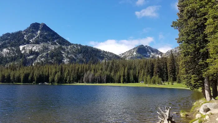 Mud Lake Campground Picture 9