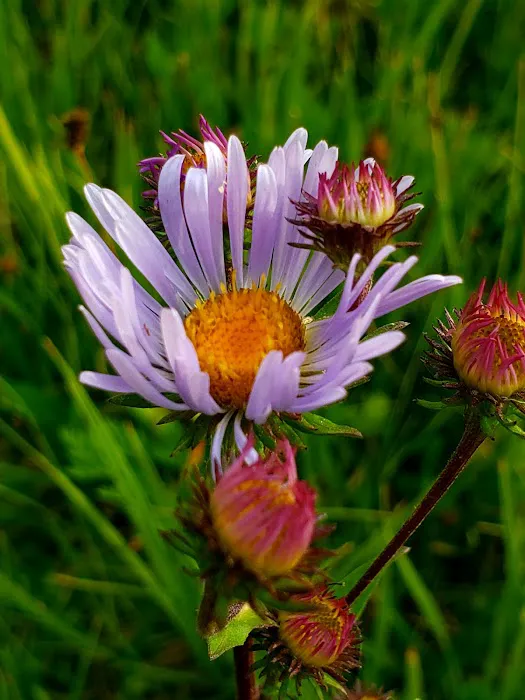 Grande Ronde Campground Picture 9