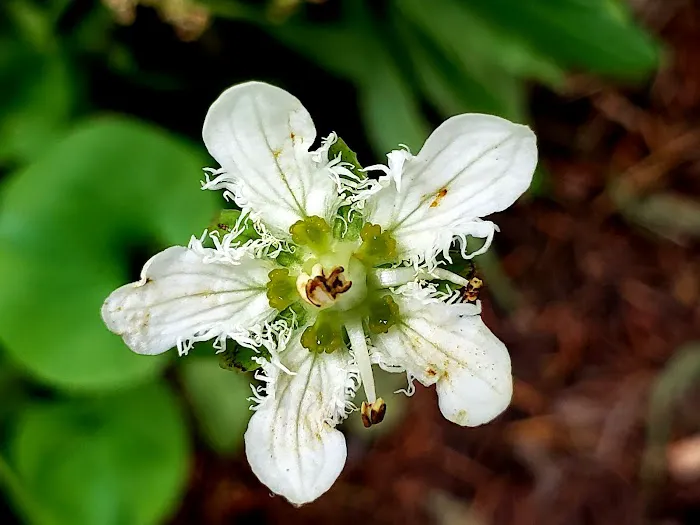 Grande Ronde Campground Picture 8