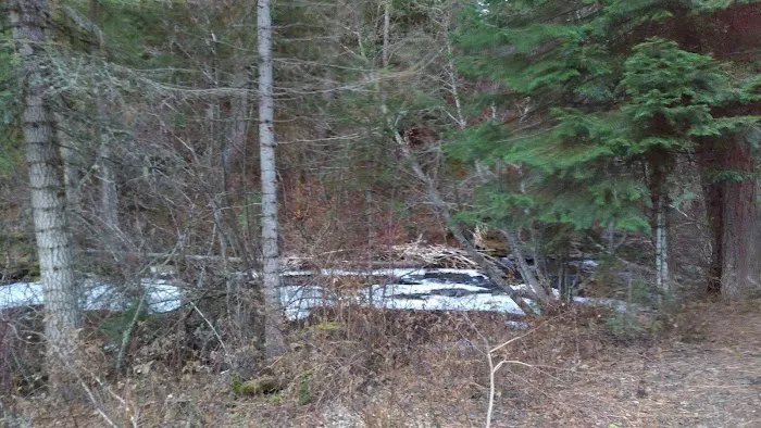 Big Flat Campground Picture 8