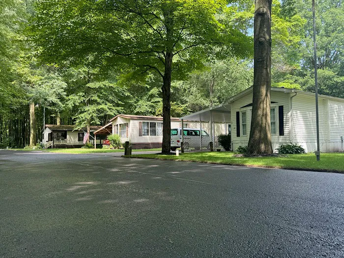 My Place at Thorn Hollow Picture 4