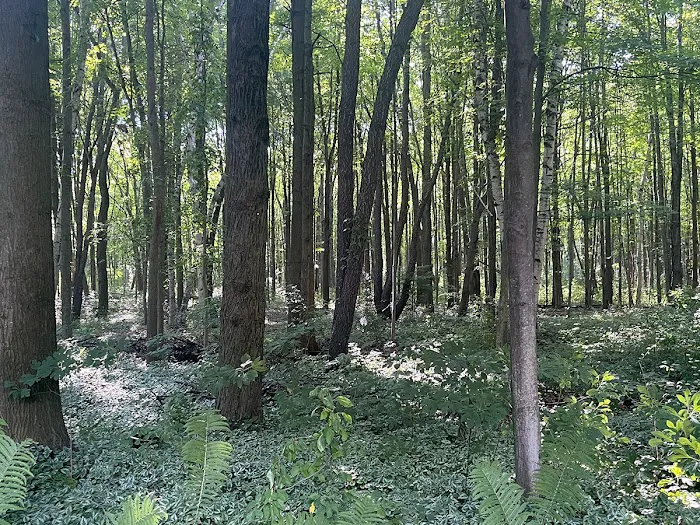 My Place at Thorn Hollow Picture 3