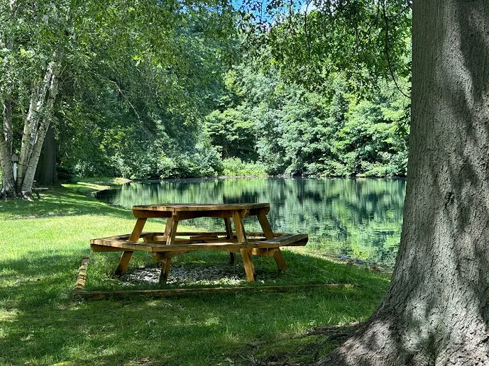 My Place at Thorn Hollow Picture 7