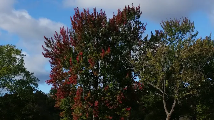 Seaway Trailer Court Picture 7