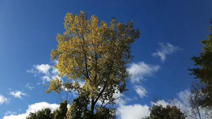 Seaway Trailer Court Picture 1