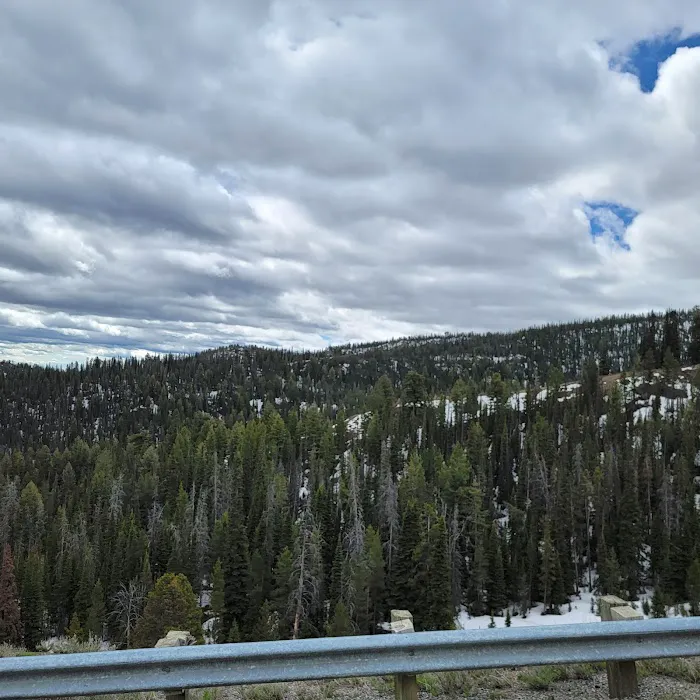Smokey Lodge Picture 4