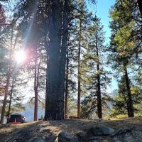 Elks Flat Campground ico