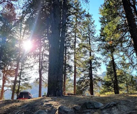 Elks Flat Campground