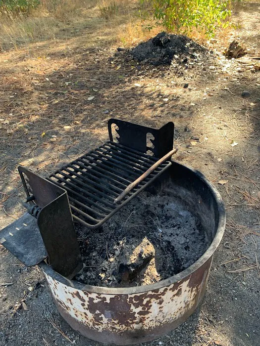 Elks Flat Campground Picture 8
