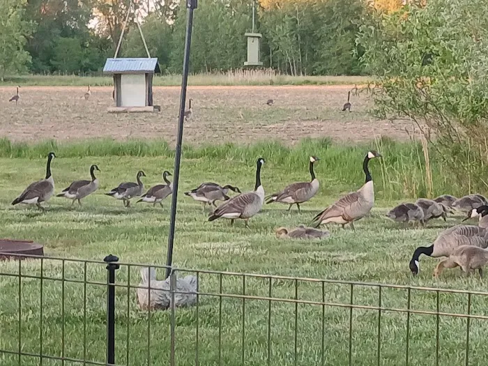 Thomas Crossings Picture 4
