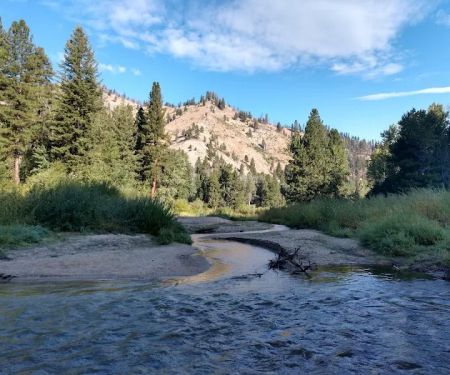 Dog Creek Campground