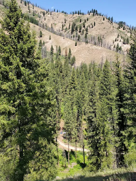 Dog Creek Campground Picture 9
