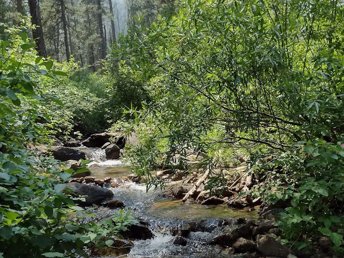 Dog Creek Campground Picture 5