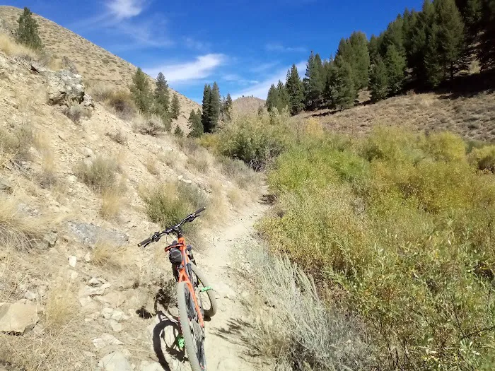 Lime Creek Campground Picture 5