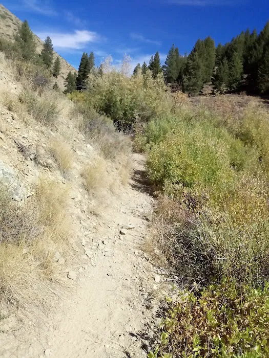 Lime Creek Campground Picture 1