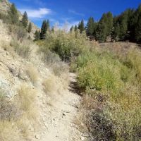 Lime Creek Campground ico