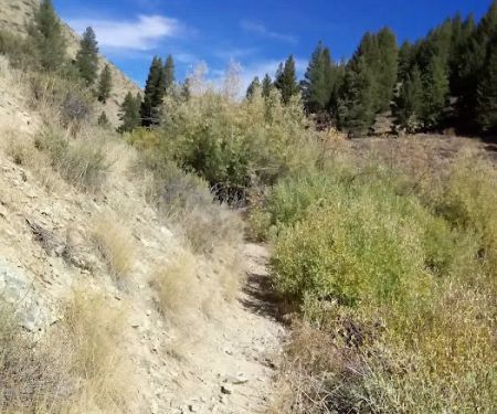 Lime Creek Campground