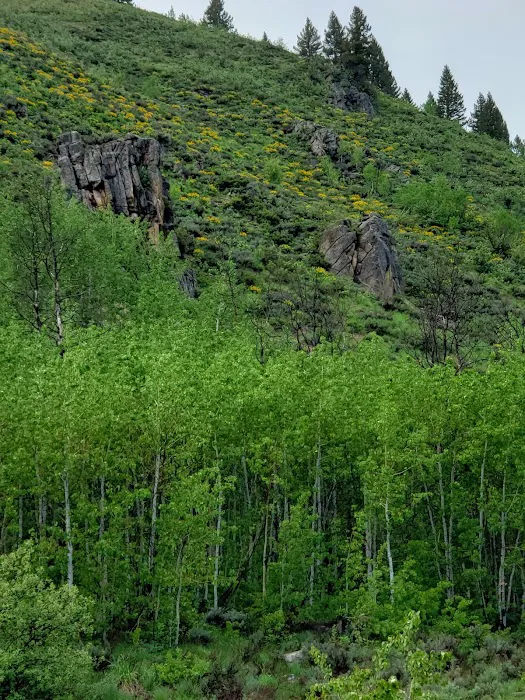 Canyon Campground Picture 3