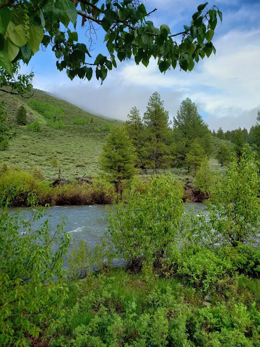 Canyon Campground Picture 9