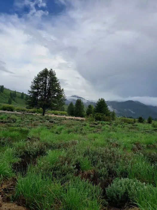 Canyon Campground Picture 2