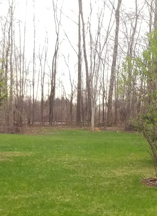 Edgewood Village Mobile Home Picture 3