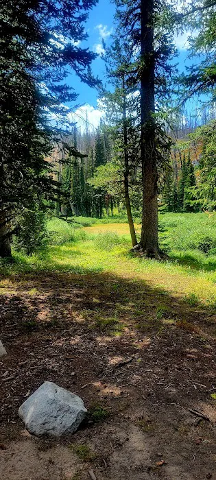 Big Roaring River Lake Campground Picture 8
