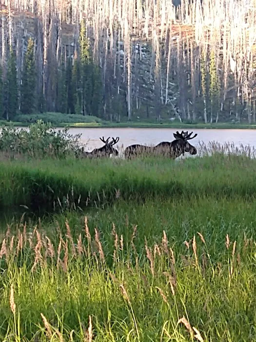 Big Roaring River Lake Campground Picture 6