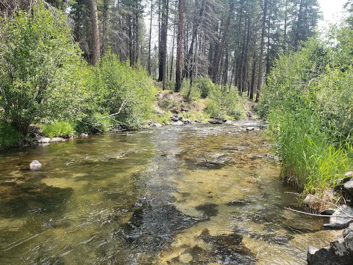 Ice Springs Campground Picture 2