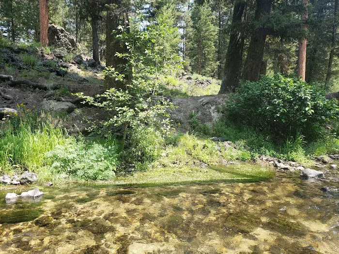 Ice Springs Campground Picture 4