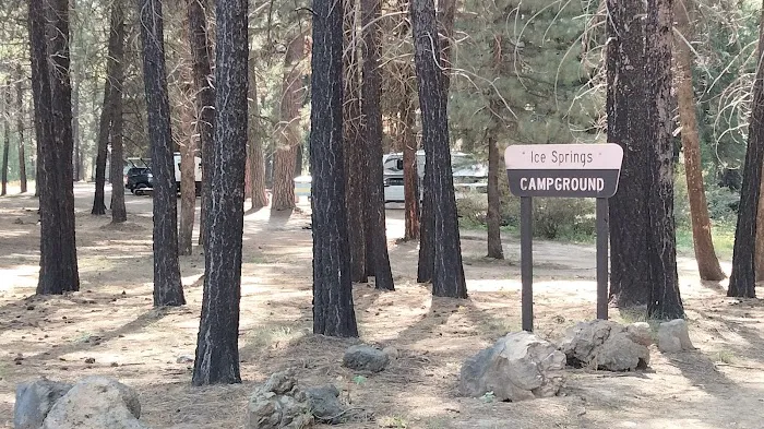 Ice Springs Campground Picture 9