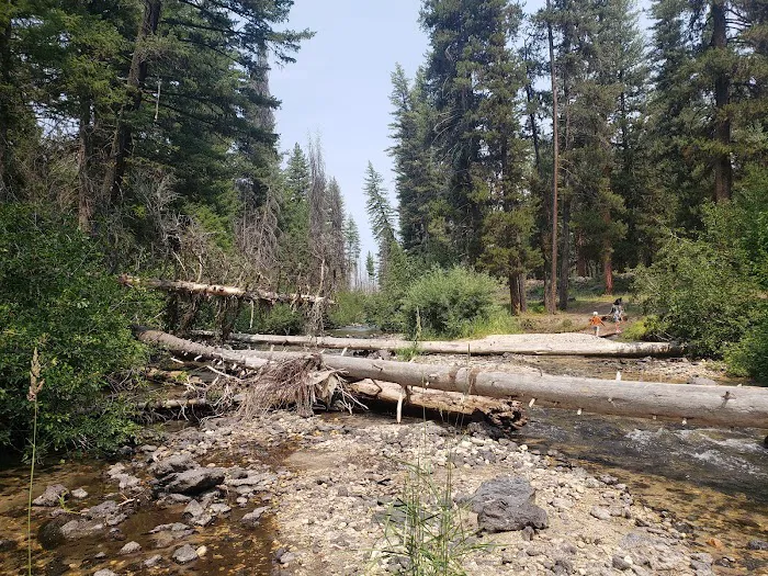 Ice Springs Campground Picture 3