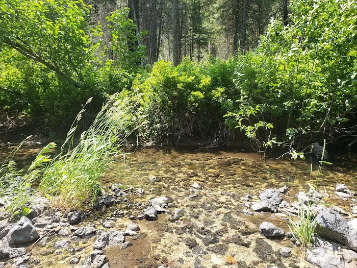Ice Springs Campground Picture 5